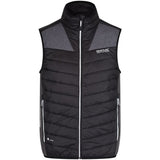 Regatta Halton BW3 Chaleco Hombre