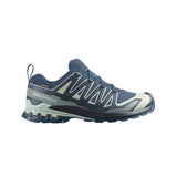 Salomon XA Pro 3D V9 GTX Zapatilla Trail/Running Hombre