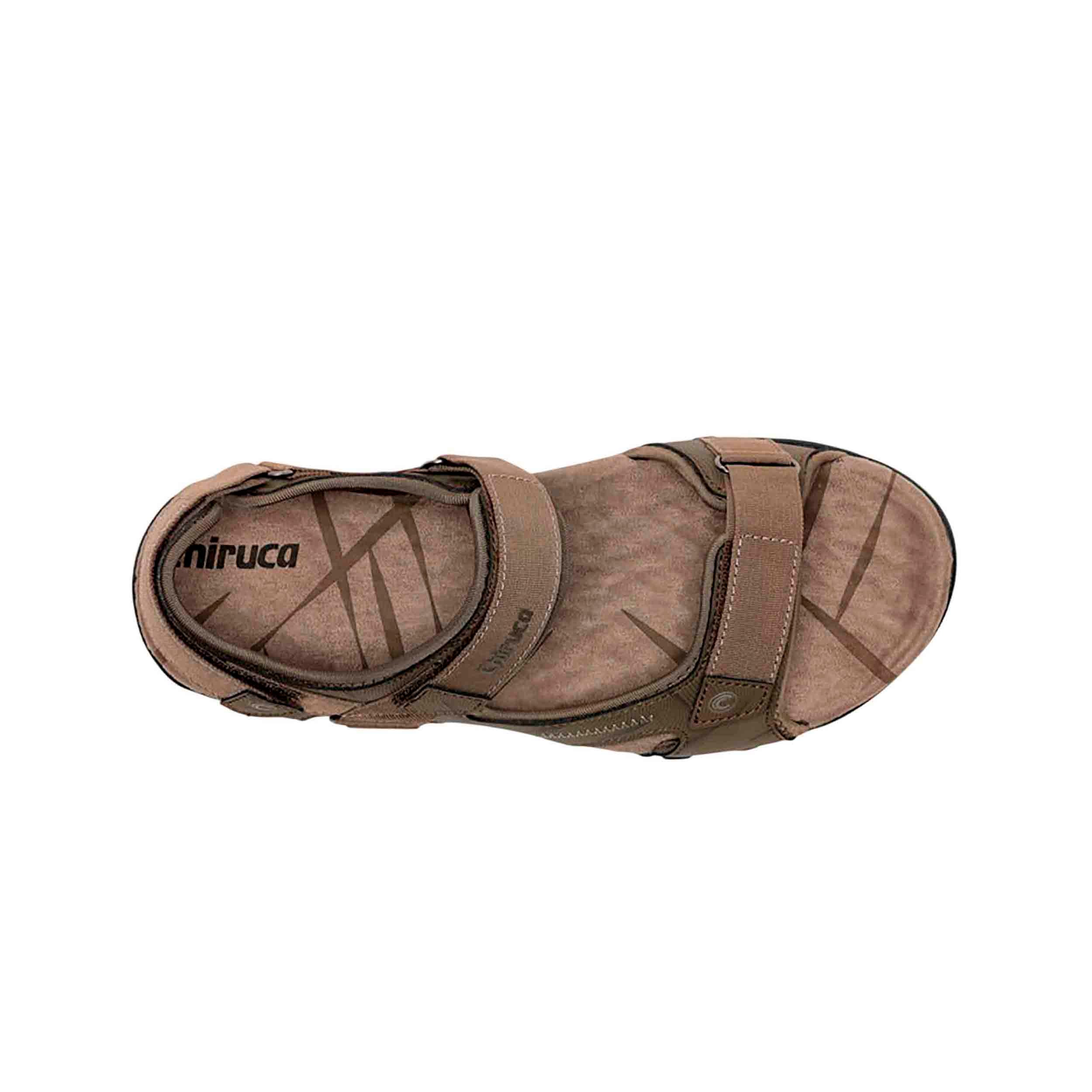 Marrón